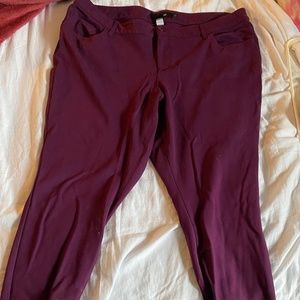 Torrid Plum Capri Dress Pants